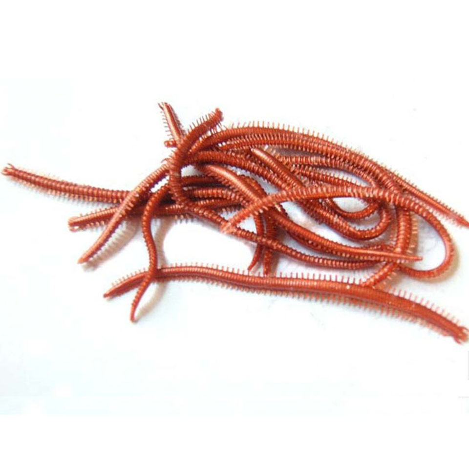 10PCS/Lot Artificial Sea Worms - Fishing Lure Soft Plastic recension och pris